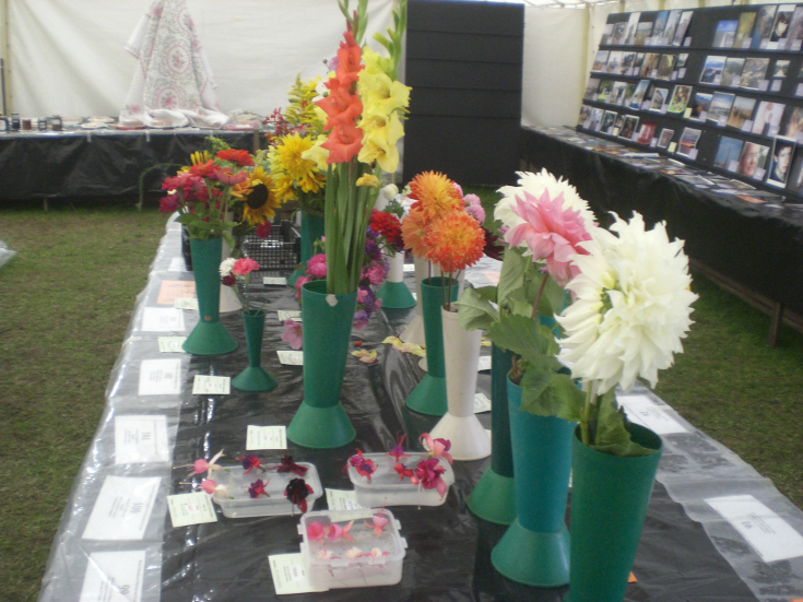 Friern Barnet Summer Show