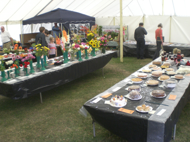 Friern Photo Archive Friern Summer Show