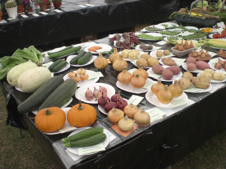 Friern Photo Archive Friern Summer Show