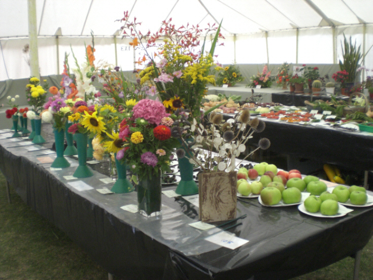 Friern Photo Archive Friern Summer Show