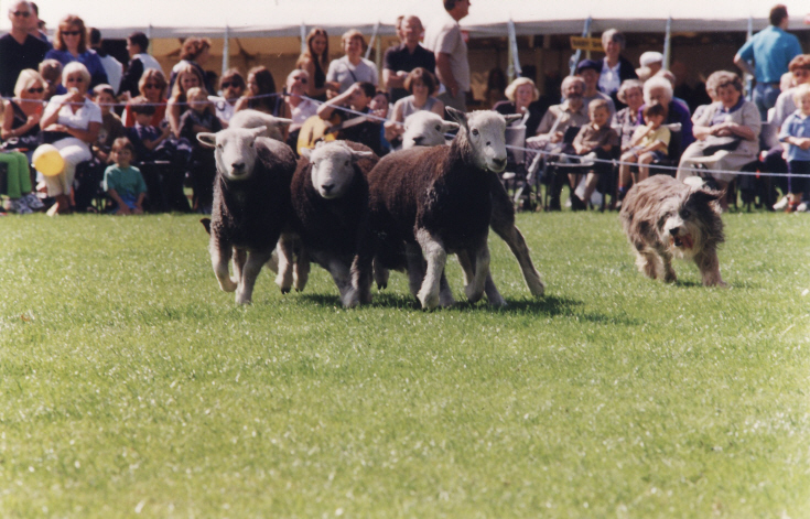Friern Barnet Summer Show