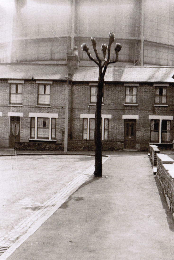 Albert Street, N11
