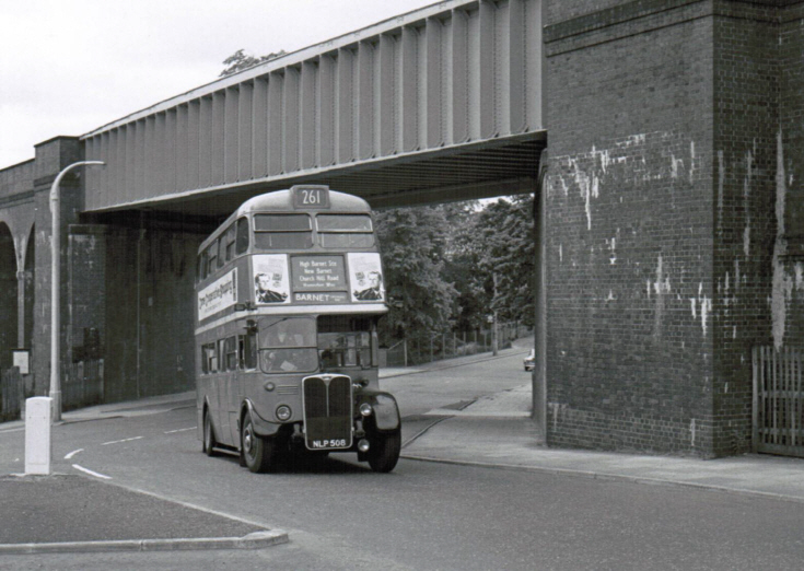 Buses