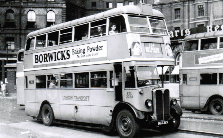 Buses