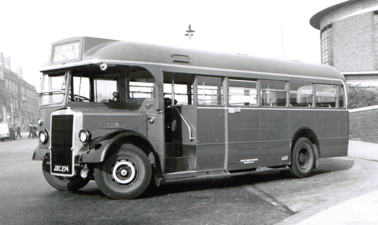 Buses
