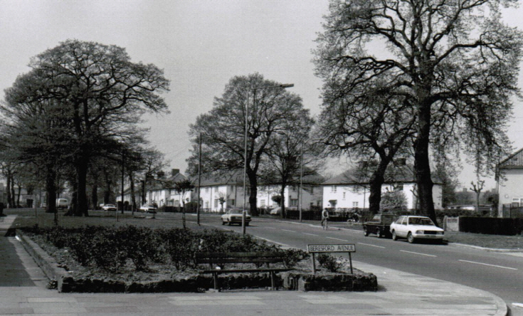 Russell Lane, N20