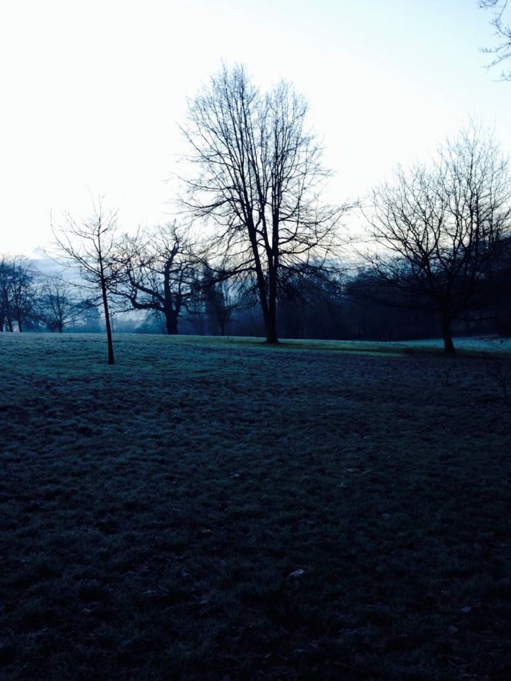 Friary Park Jan. 2014 on a cold winter's morning