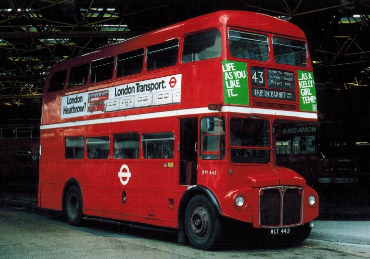 Buses