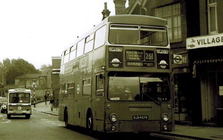 Buses