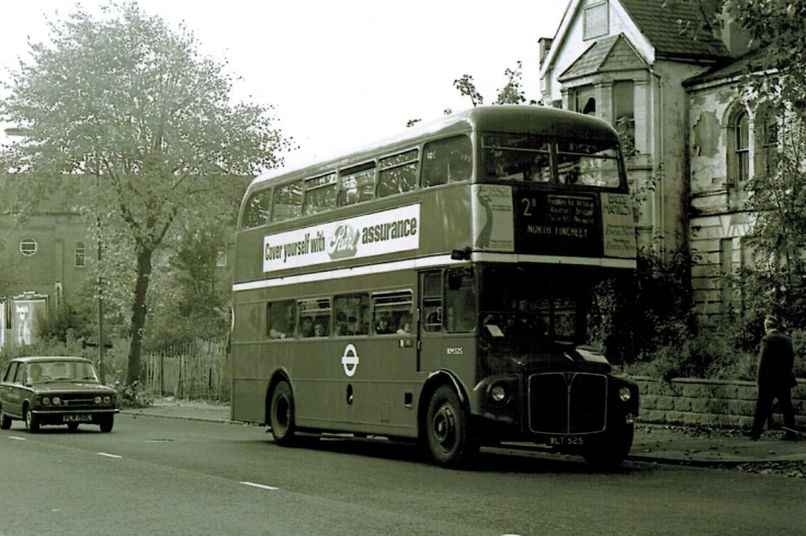 Buses