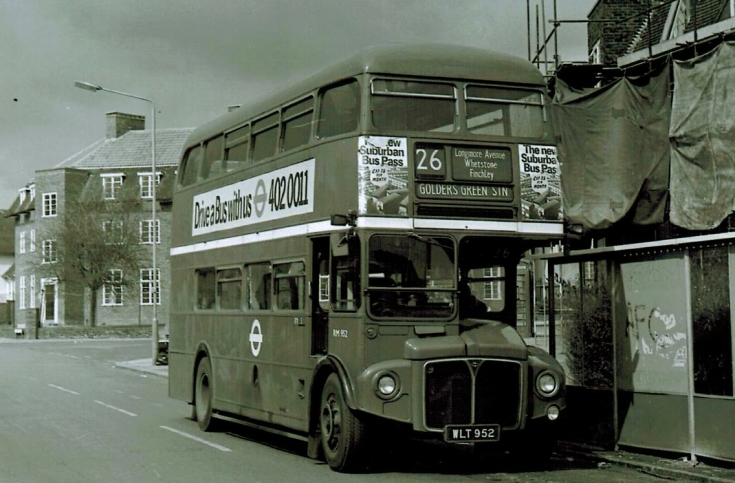 Buses