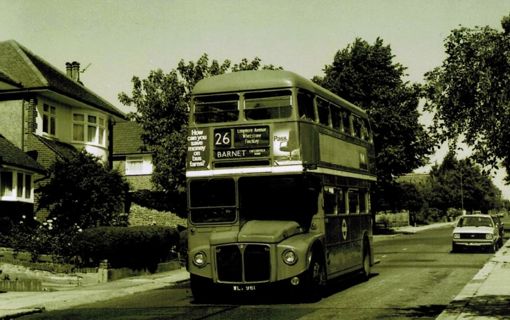 Buses
