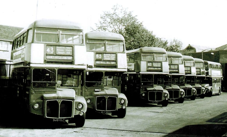 Buses