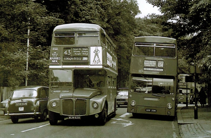Buses