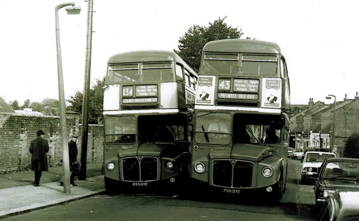 Buses