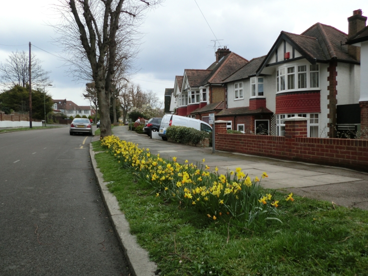 Friern Photo Archive Friary Road