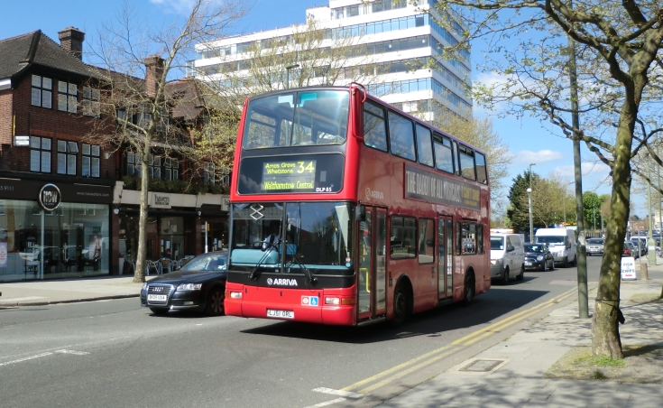 Buses