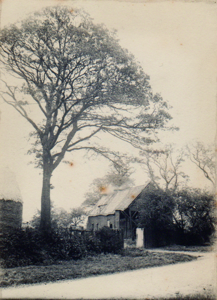 Friern Barnet Lane