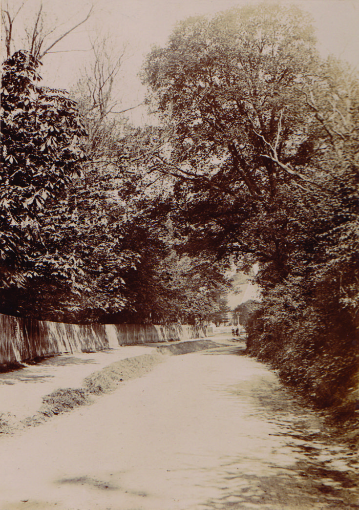 Friern Barnet Lane