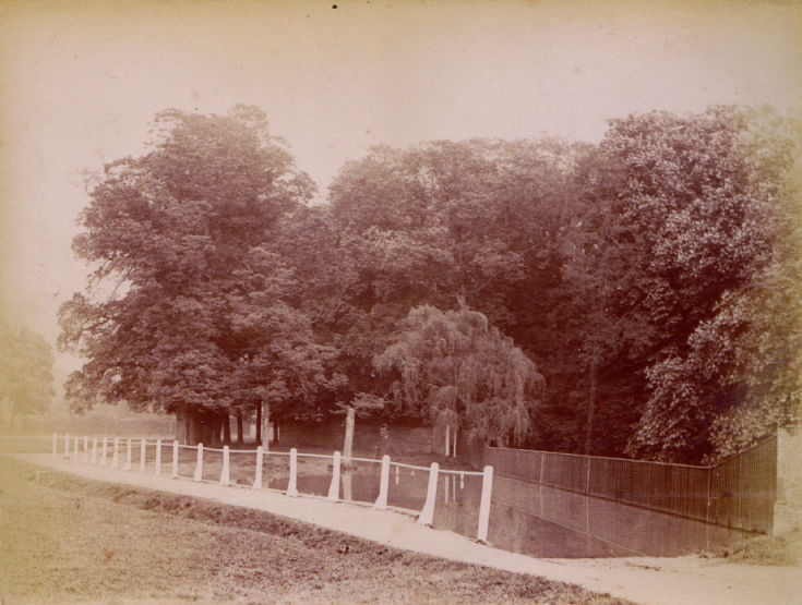 Waterfall Lane