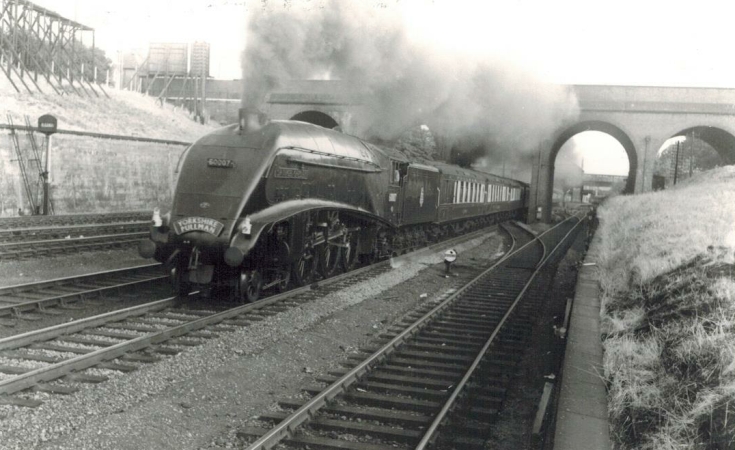 Trains