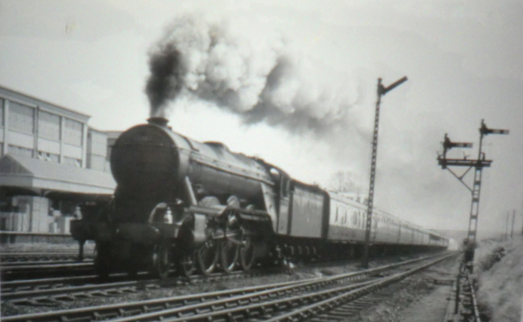 Trains