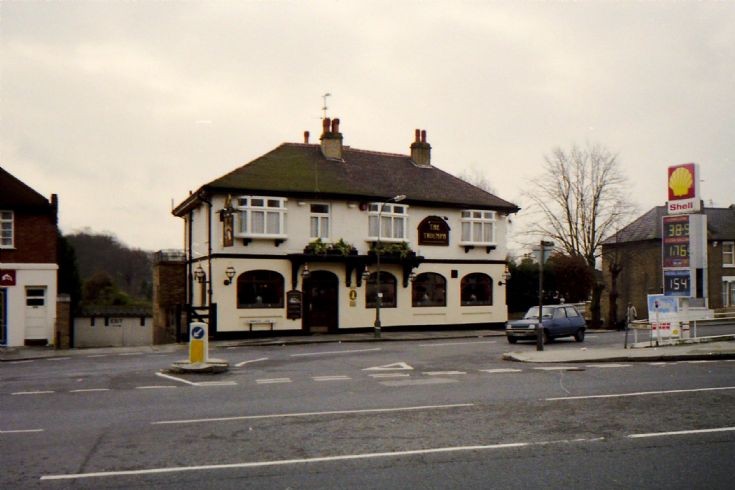 The Triumph, Summers Lane