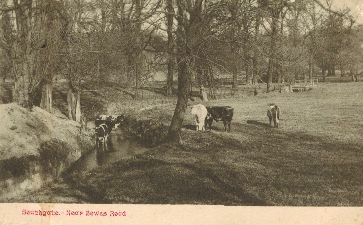 Bowes Road