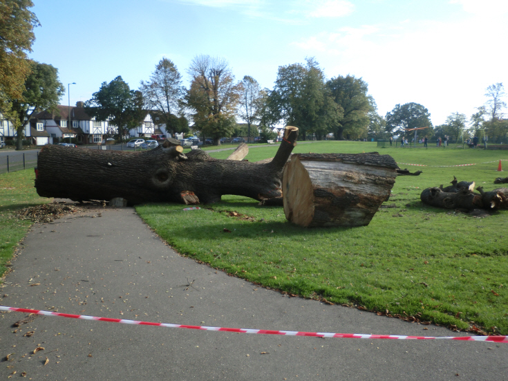 Friary Park