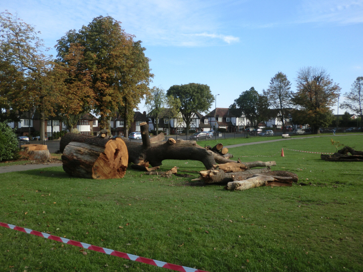 Friary Park