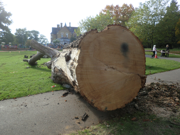 Friary Park