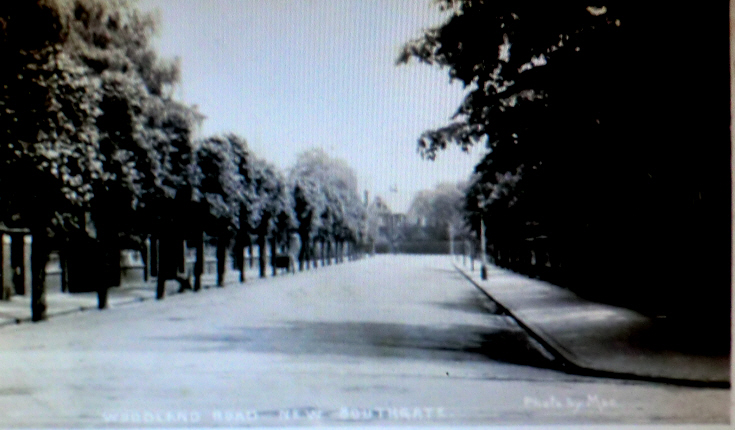 Woodland Road