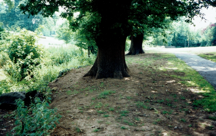 Friary Park