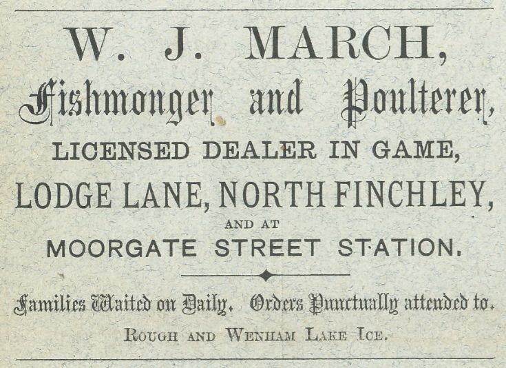 W J March