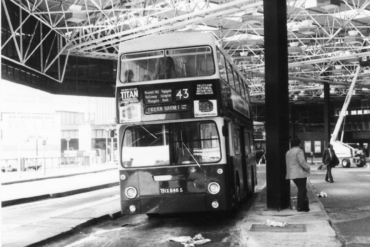 Buses