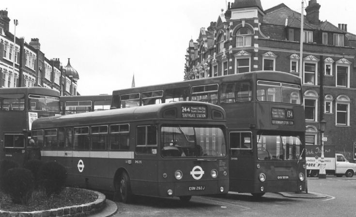 Buses
