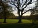 Brook Farm Open Space