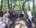 Coppetts Wood Nature Reserve
