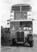 Buses