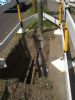 Lamppost