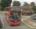 Buses