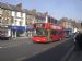 Buses
